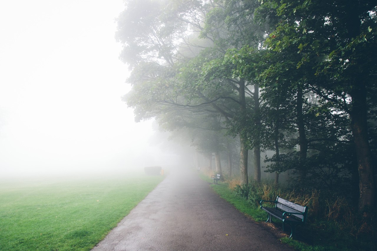 Туман романтика. Туманное утро романтика. Природа романтика туман. Лес романтичный туман.